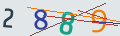 verifycode